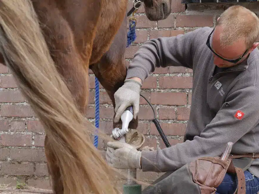 Goed gereedschap is het halve werk: machinaal bekappen