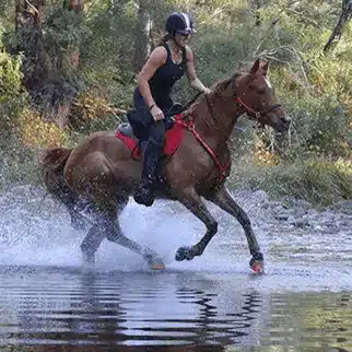Hoefschoenen in paardensport: endurance