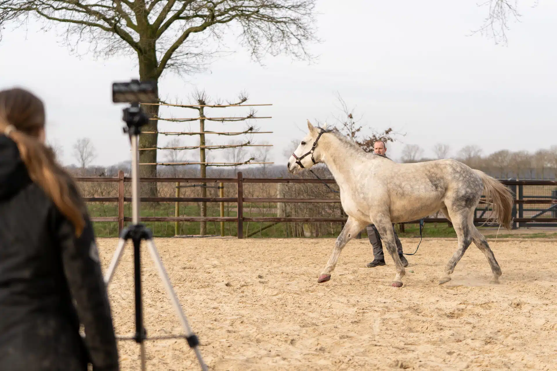 Hoefspecialist Klaas Feuth vertelt over het gebruik van objectieve ganganalyse bij paarden met Ai en hoefsensoren in zijn praktijk
