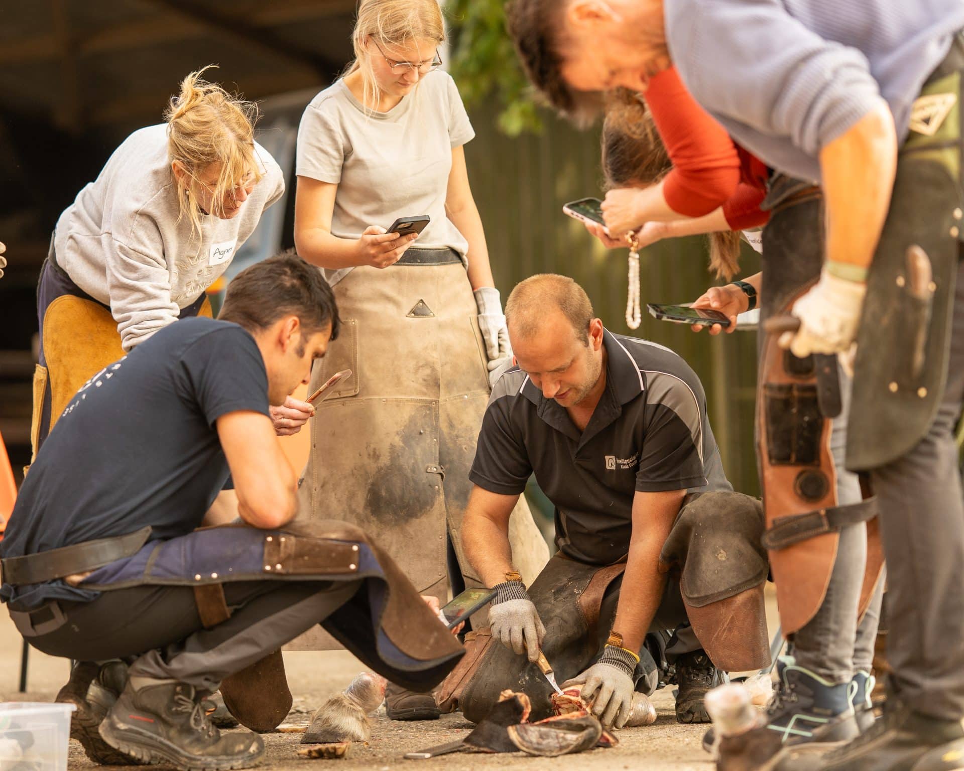 Cursus Watch & Learn Winter Editie